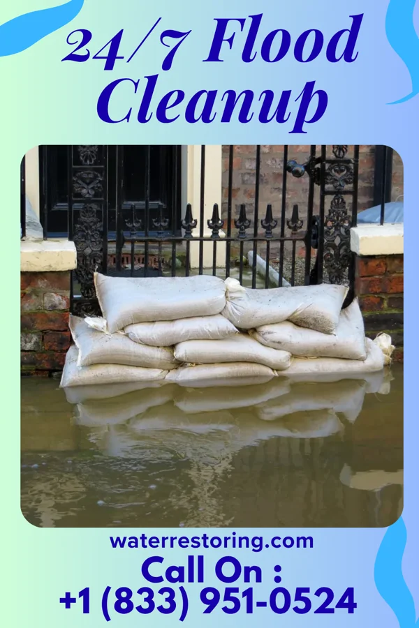24/7 Flood Cleanup in Adell, WI
