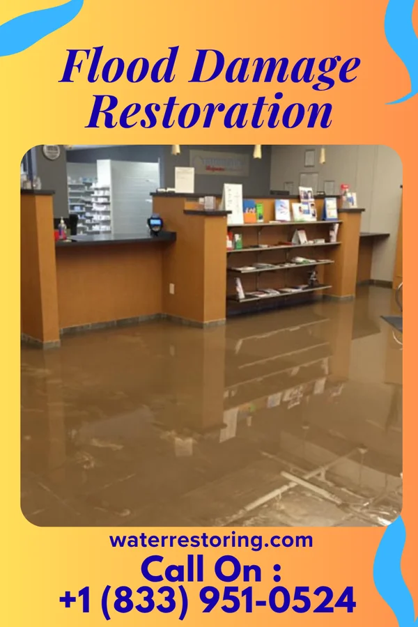 Flood Damage Restoration in Adell, WI