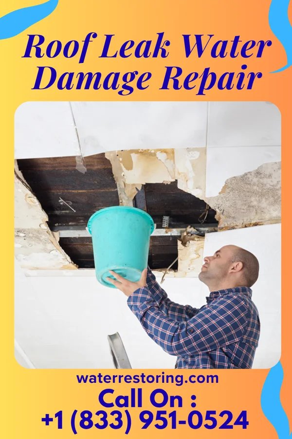 Roof Leak Water Damage Repair in Adell, WI