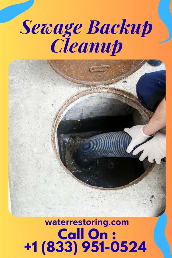 Sewage Backup Cleanup in Adell, WI